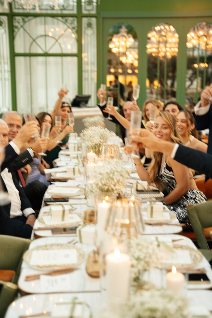 People toasting at elegant dinner. | Gabys Films